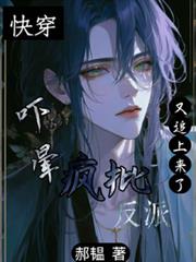 �촩�����Σ�����������׷������