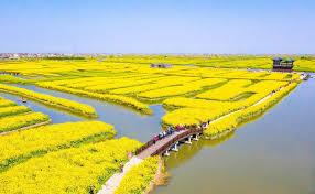 ���飬�㽭����˧