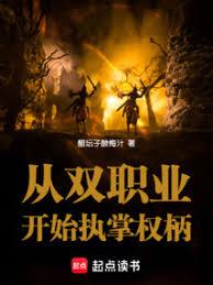 ��˫ְҵ��ʼִ��Ȩ��